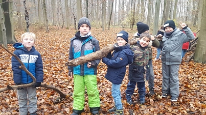 Der Wald und wir&nbsp;&copy;&nbsp;Stadt Ronnenberg